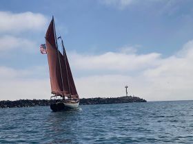 A beautiful sailboat with billowing sails navigates the waters, showcasing its elegant design against a serene backdrop.