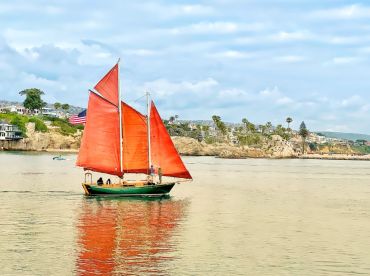 Lively Schooner INC.