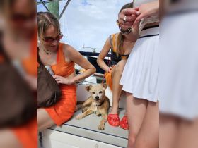 A group of friends relaxes on a boat with a cute dog, capturing a fun and casual moment on the water.