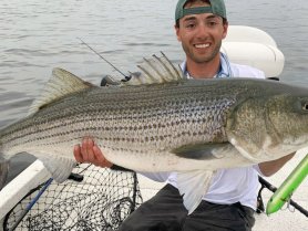 A proud angler displays a large striped bass caught while fishing, showcasing the thrill of a successful day on the water.