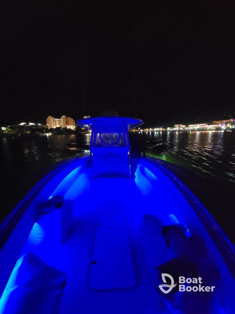 Fishful Thinkin Charters