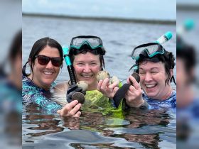 Three friends celebrate their snorkeling adventure by showcasing their catch of scallops, capturing the joy of underwater exploration and camaraderie.