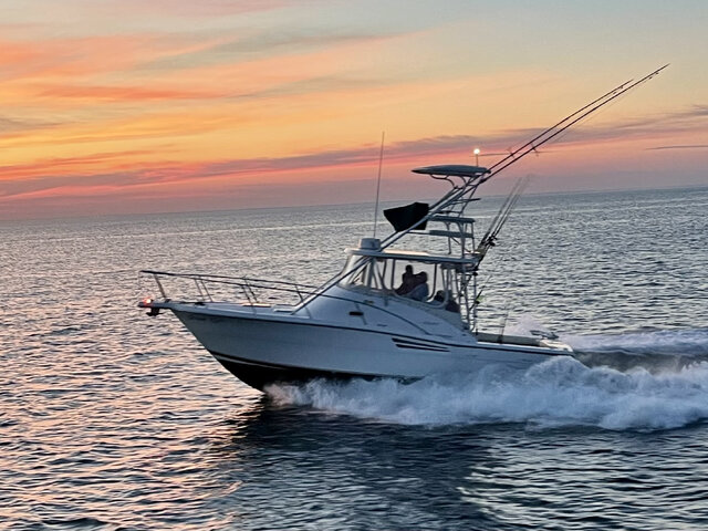 Listing image 1088273