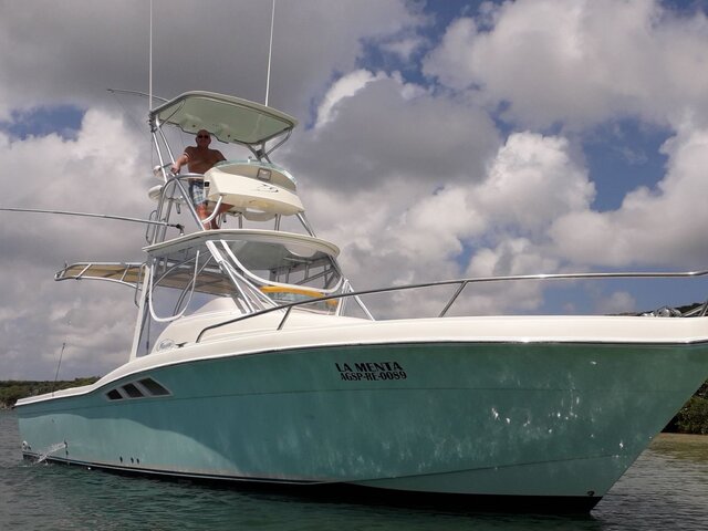 Listing image 1091874