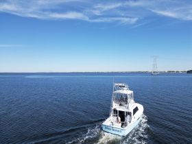 A sleek speedboat named 'HARD MONEY' cruises through calm waters under a clear blue sky, showcasing the perfect day for boating adventures.
