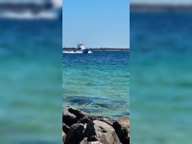 A sleek speedboat glides through clear turquoise waters, showcasing the beauty of a perfect day on the water.