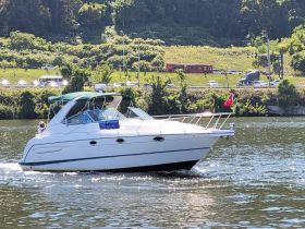 A sleek speedboat glides through the water, showcasing its elegant design and vibrant colors, perfect for a day of fun on the water.