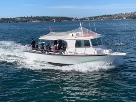 A group of anglers enjoys a fishing trip aboard a boat, navigating through beautiful waters — perfect for adventure seekers and fishing enthusiasts.