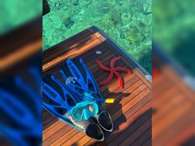 Snorkeling gear laid out on a dock with a vibrant starfish nearby, perfect for underwater adventures in crystal-clear waters.