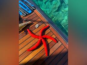 A vibrant red starfish rests on a wooden deck, showcasing the beauty of marine life in crystal-clear waters.