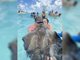 A couple shares a moment with a stingray in shallow waters, surrounded by other guests enjoying a unique wildlife experience — a memorable encounter in the Bahamas.