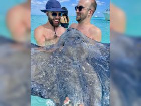 Two men joyfully interact with a stingray in shallow waters, showcasing a unique wildlife experience in a tropical paradise.