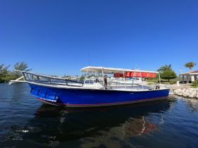A vibrant blue speedboat docked in calm waters, showcasing its sleek design and spacious canopy — perfect for day trips and water adventures.