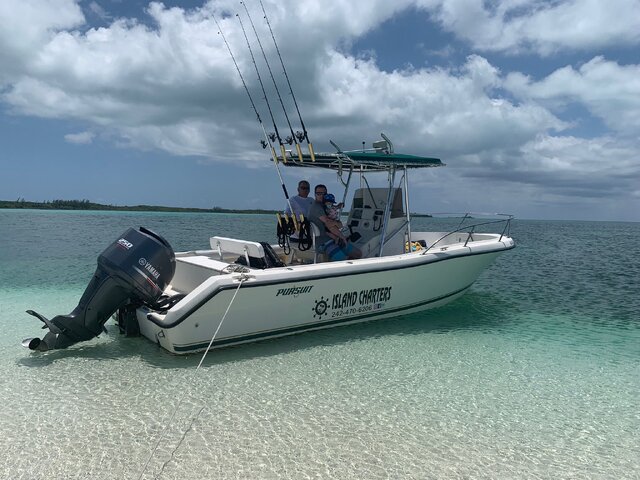 Listing image 1088497