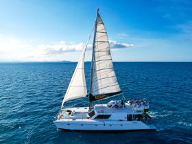 A lively group enjoys a sailing adventure aboard a catamaran, gliding through the sparkling blue waters — perfect for unforgettable day trips on the ocean.