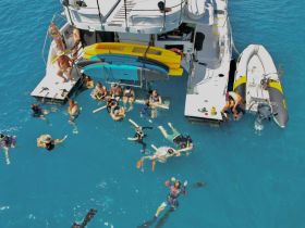 A lively group enjoys snorkeling and swimming around a boat in crystal-clear waters, showcasing the perfect day of fun and adventure on the water.
