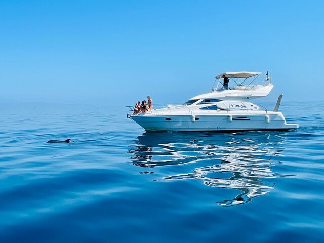 Listing image 1088541