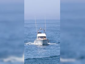 A fishing boat cruises through calm waters with guests enjoying the ride — perfect for a day of adventure on the sea.