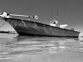 A striking black and white image of a speedboat, showcasing its sleek design and fishing gear, perfectly docked in calm waters.