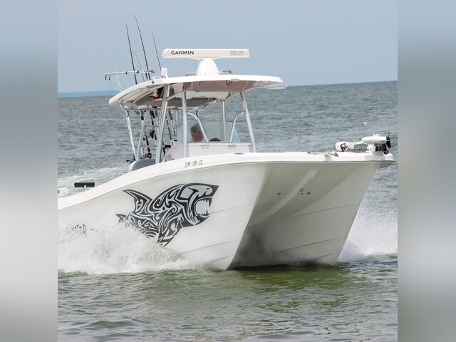 Listing image 1097248