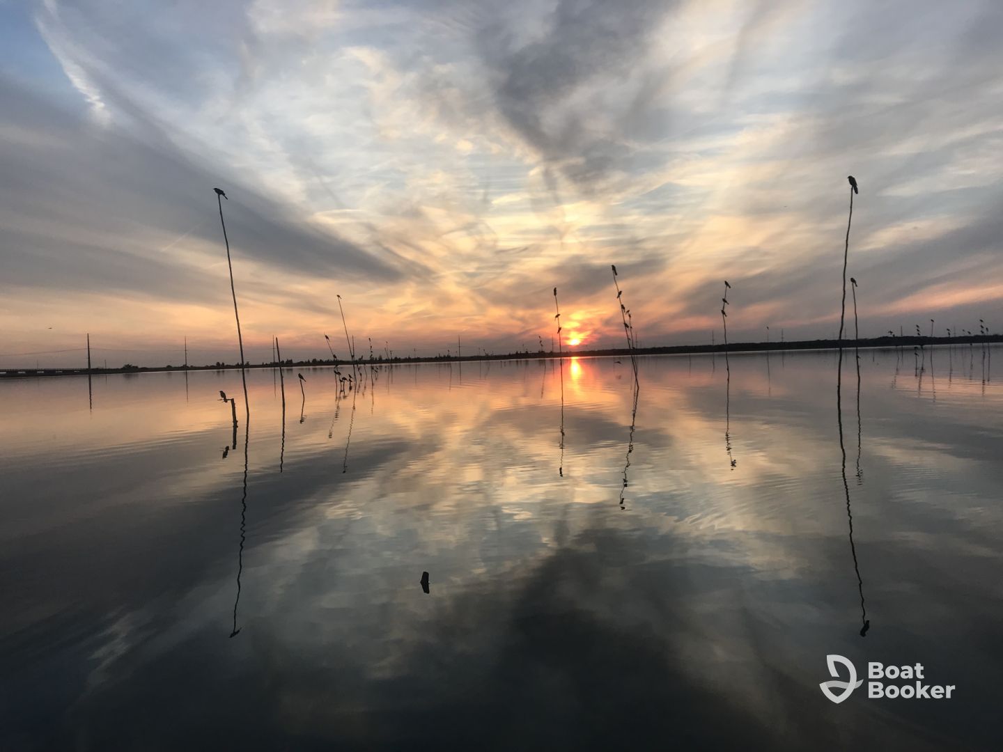 Water Dog Charters LLC – Boat Tours & Birding