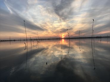 Water Dog Charters LLC – Boat Tours & Birding