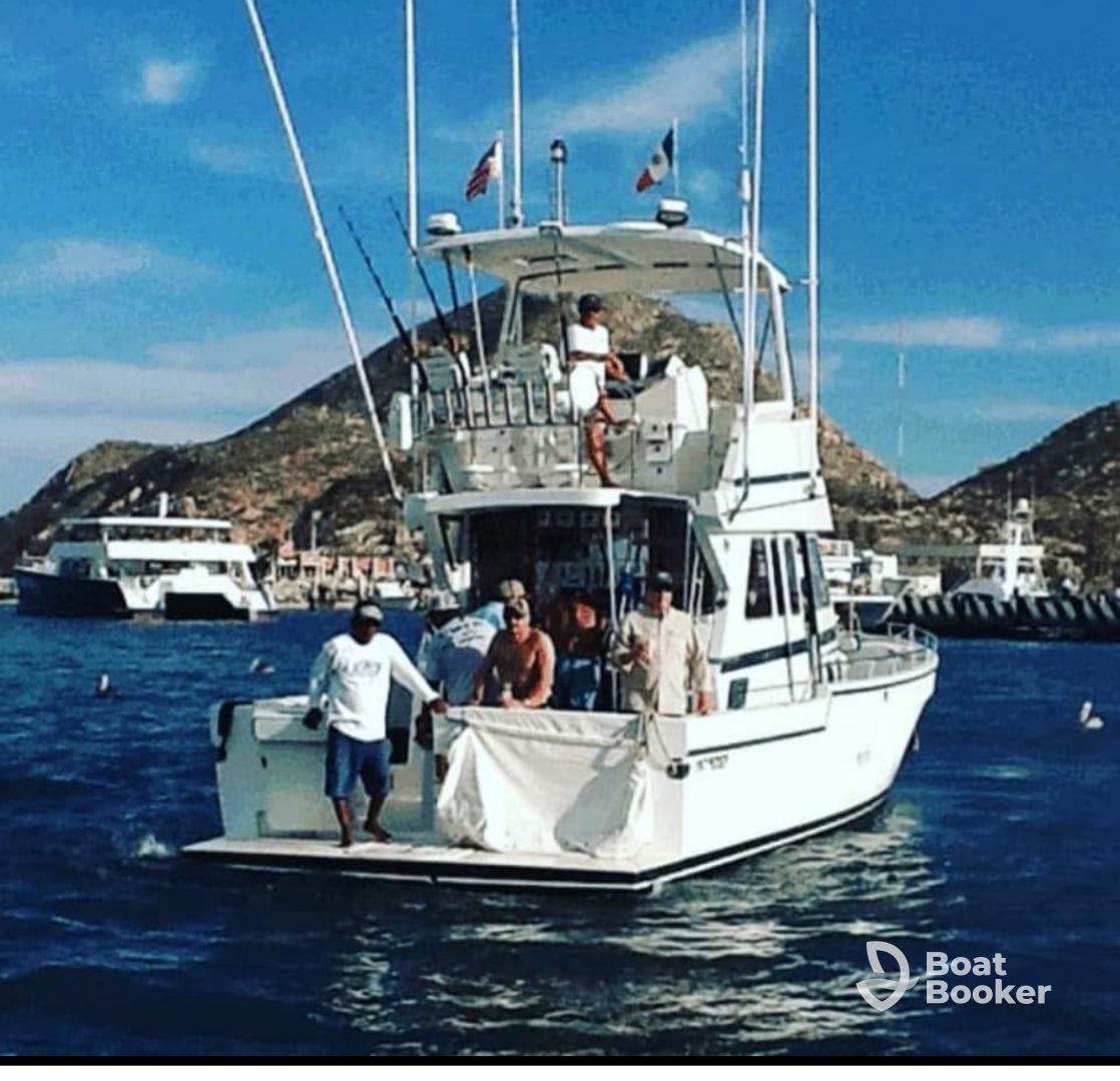 Picudo Sportfishing