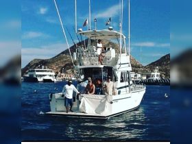 A fishing crew prepares for an adventure on the water in Cabo San Lucas, showcasing the excitement of deep-sea fishing experiences.