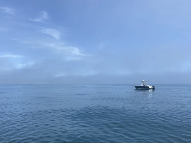 Listing image 1088651