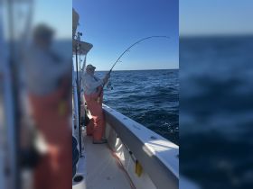 An angler enjoys a day of fishing on the open water, showcasing the thrill of reeling in a catch — perfect for fishing enthusiasts and adventure seekers.