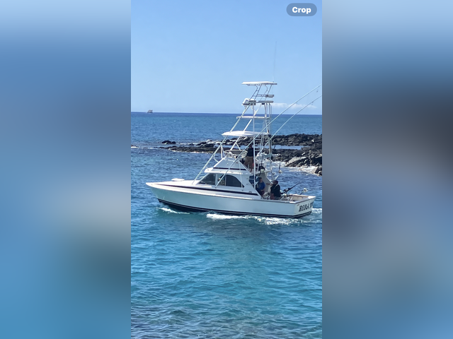 Listing image 1088751
