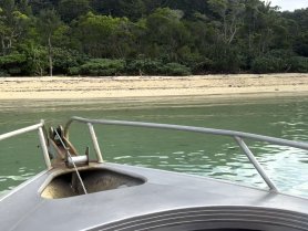 A view from the front of a boat cruising near a sandy beach, surrounded by lush greenery — perfect for exploring coastal landscapes.