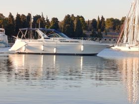 A sleek yacht glides through calm waters, showcasing its elegant design against a backdrop of lush greenery and other vessels at the dock.