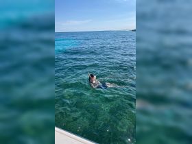 A snorkeler enjoys the vibrant underwater world in crystal-clear waters, perfect for marine exploration and adventure.