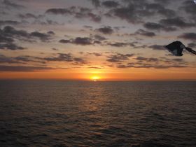 Charter Image