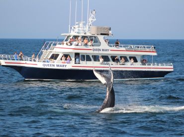 Queen Mary Open Boat & Charters