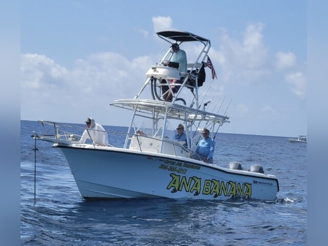 Listing image 1089287