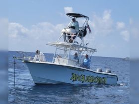 Charter Image