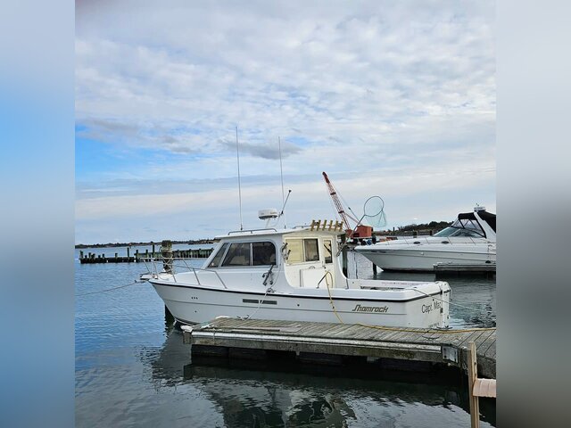 Listing image 1089388