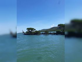 A picturesque view of a serene coastline with lush greenery and calm waters, perfect for exploring natural landscapes while boating.