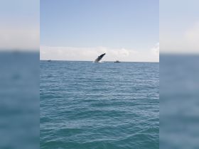 Charter Image