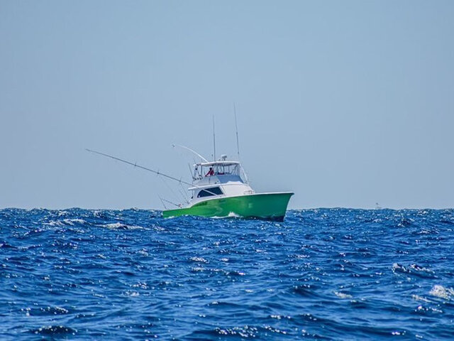 Listing image 1089359