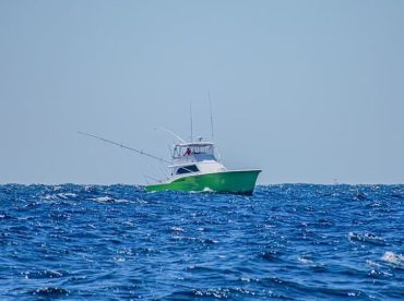 Wasabi Sportfishing