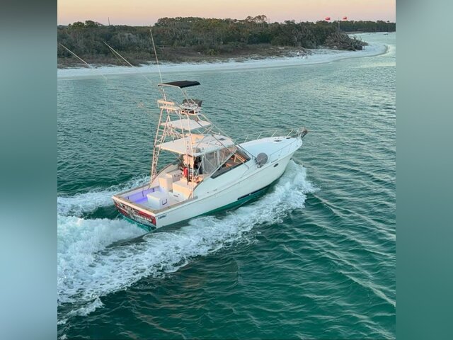 Listing image 1089457