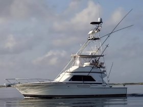 A sleek yacht is seen underway, showcasing its impressive structure and fishing gear, perfect for a day on the water.