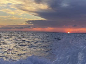 A stunning sunset over the ocean, capturing the serene beauty of twilight on the water — an ideal backdrop for evening cruises.