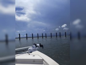 A clear view of a boat's bow with a scenic backdrop of a dock and cloudy sky, perfect for showcasing boating adventures.