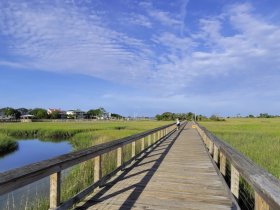 A scenic view of a wooden boardwalk leading through marshland, with a person walking in the distance. The vibrant blue sky and lush greenery create a serene atmosphere.