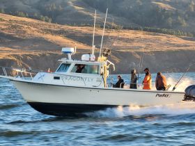 A group of fishermen aboard the 'Dragonfly' boat enjoy a day on the water, showcasing the excitement of fishing adventures.