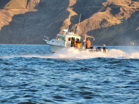 A speedboat named 'Dragonfly' races across the water, showcasing an exciting on-water adventure against a stunning mountainous backdrop.